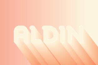 Aldin Font: Stylish Sans Serif for Modern Design Projects