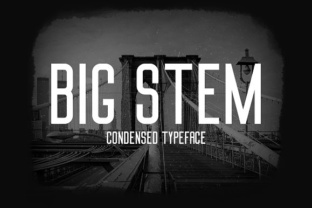 Big Stem: A Bold Sans Serif Font for Business Branding