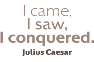 Colosseum Family: A Bold Sans Serif Font for Campaign-Ready Typography