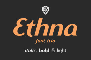 Ethna Family: A Modern Sans Serif Font for Dynamic Campaign Design