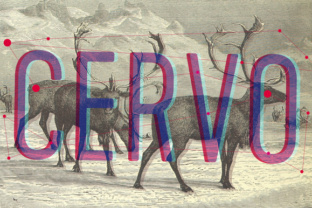 How Cervo Font Transformed My Café’s Branding and Customer Appeal