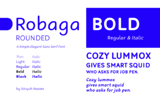 Robaga Rounded Bold: A Modern Sans Serif Font for Editorial Design and Digital Publishing