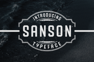 Sanson: A Striking Sans Serif Font for Business Branding