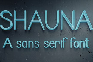 Shaun: A Neat Sans Serif Font That Elevates Maker Designs