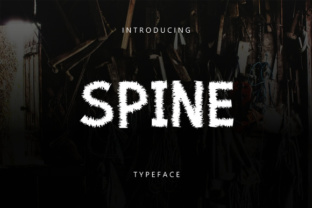 Spine: A Unique Sans Serif Font for Makers and Creative Sellers