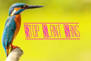 Stop Slant Sans: A Clean, Modern Sans Serif Font for Web Designers