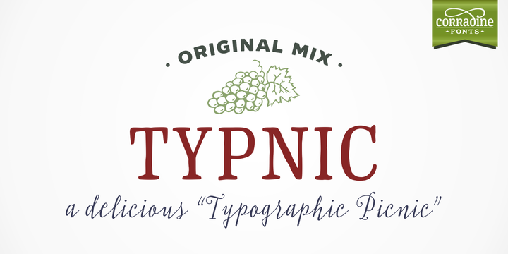 Typnic Family: The Handcrafted Sans Serif Font for Dynamic Campaign Design