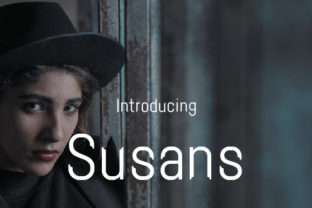 Why Susans Sans Serif Is My Go-To Font for Modern Branding Projects