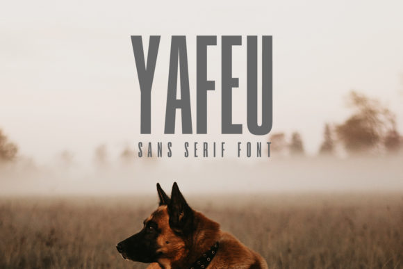 Yafeu Family: A Luxurious Sans Serif Font for Chic Branding